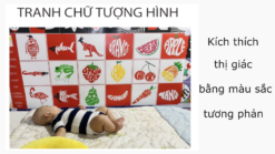 🔷 Tranh Chữ Tượng Hình (60 x 120cm)