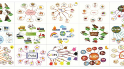 📚 Bộ 15 Sơ Đồ Tư Duy Tiếng Anh Cho Bé