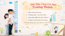 🔷 Thước Đo Chiều Cao Dán Tường